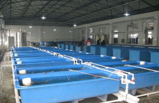 水產科技創新引領現代漁業發展——中國水產科學研究院漁業機械儀器研究所的技術服務探索